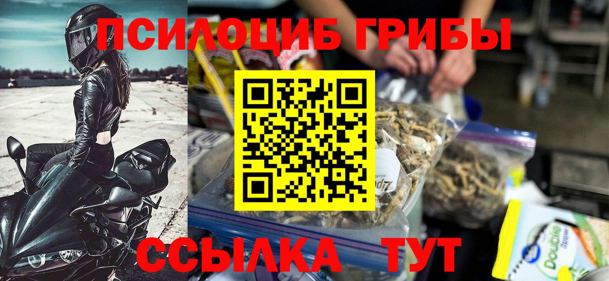 Петропавловск-Камчатский  Галлюциногенные грибы мухоморы  наркота  Вход с VPN 
