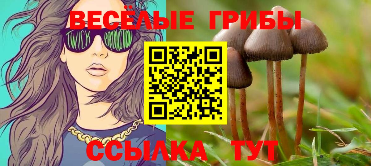 Псилоцибиновые грибы Magic Shrooms Петропавловск-Камчатский